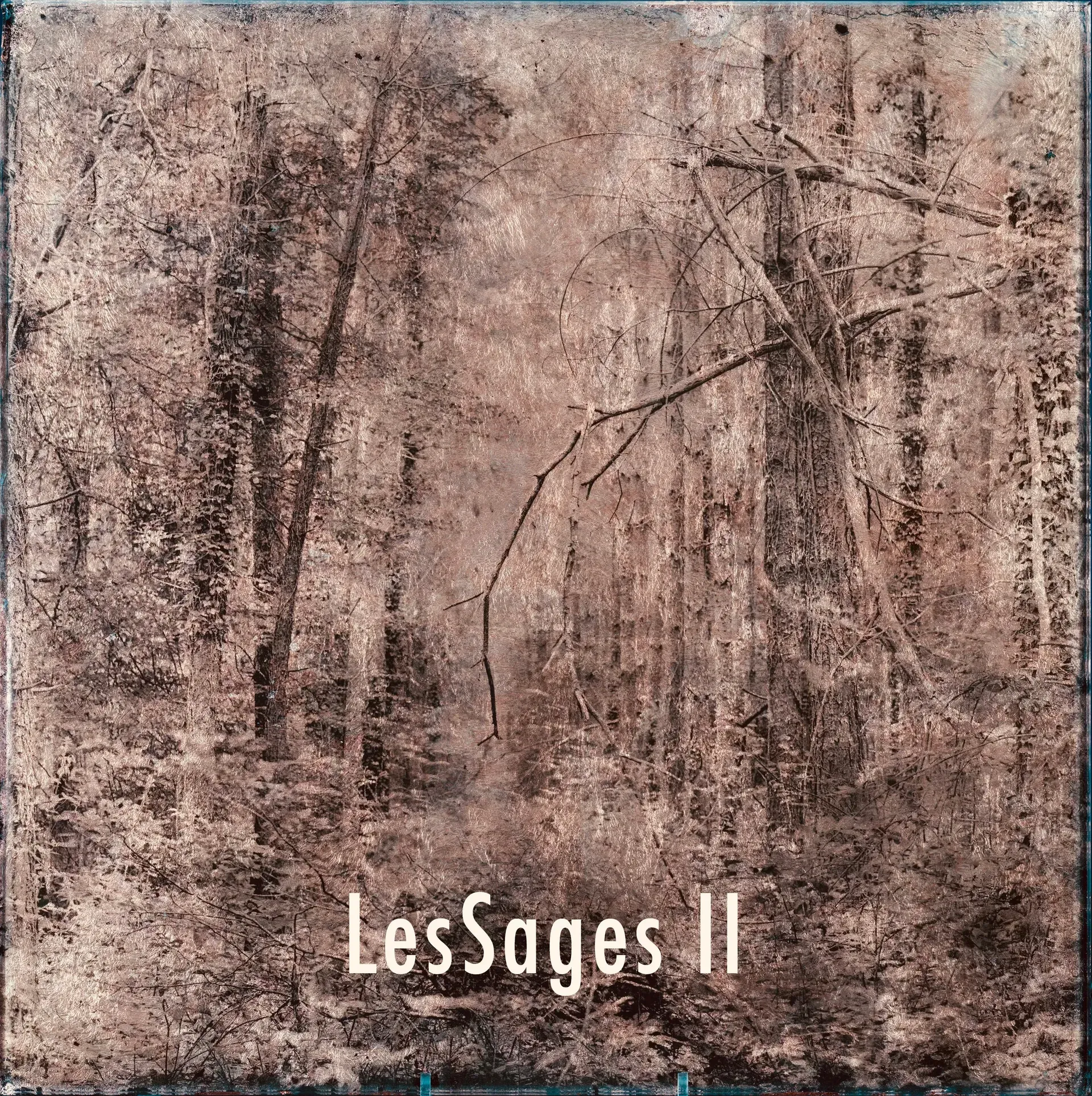LES SAGES — Denis Félix